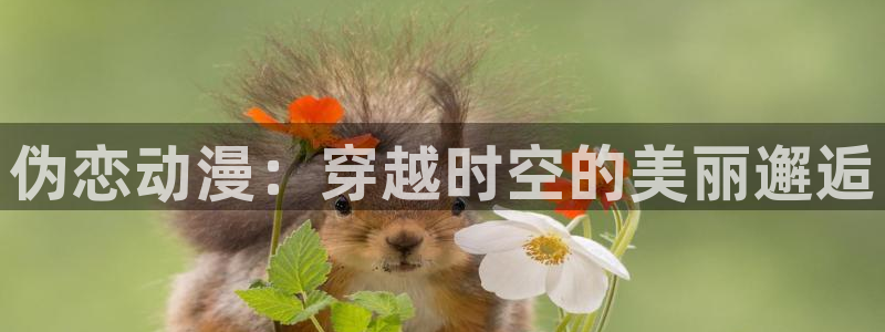 免费a漫动漫天堂.：伪恋动漫：穿越时空的美丽邂逅