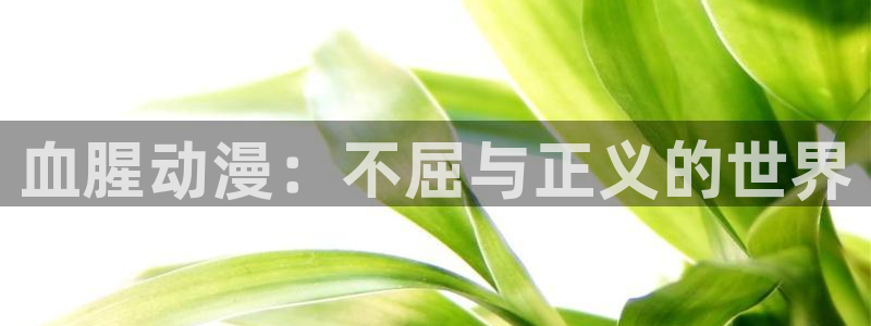 动漫天堂在线：血腥动漫：不屈与正义的世界