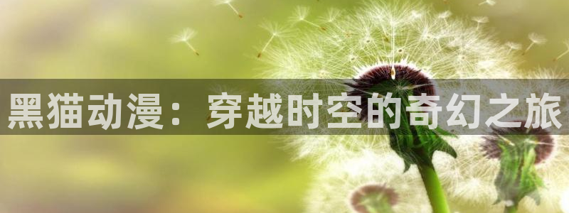 动漫天堂软件：黑猫动漫：穿越时空的奇幻之旅