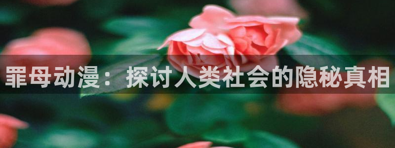动漫天堂官网：罪母动漫：探讨人类社会的隐秘真相